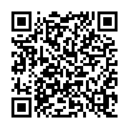 QR code for 493XEL