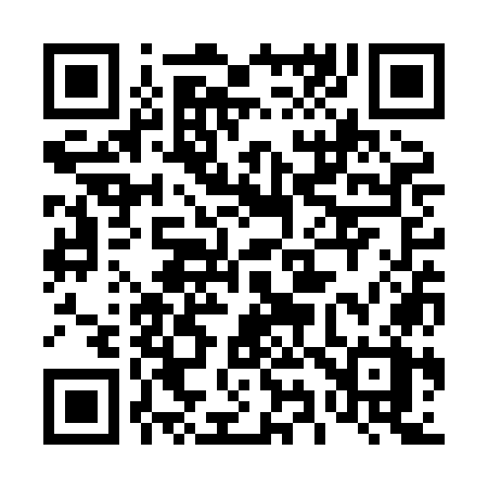 QR code for 493XOX