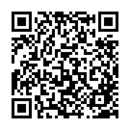 QR code for 493ZLD