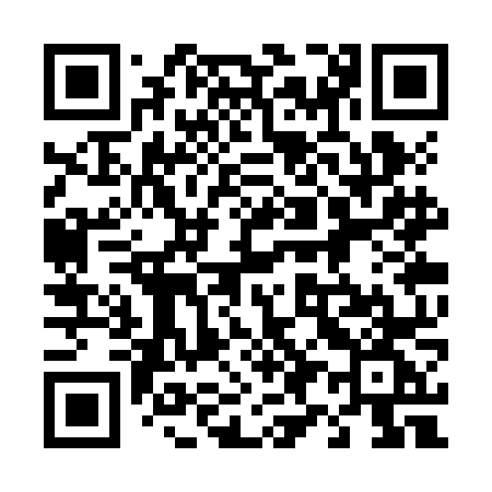QR code for 493ZNG