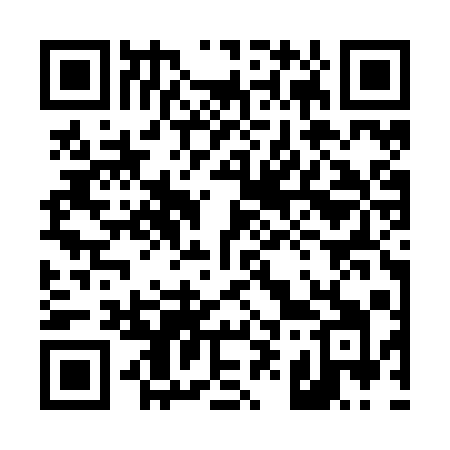 QR code for 493ZQI