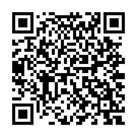 QR code for 494PUO
