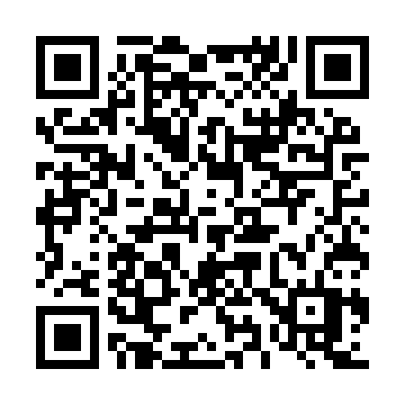 QR code for 495IST