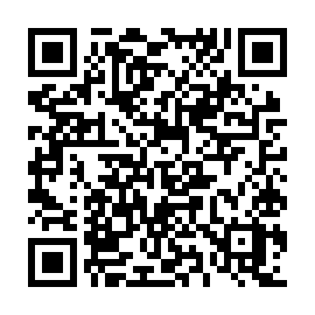 QR code for 495NYX