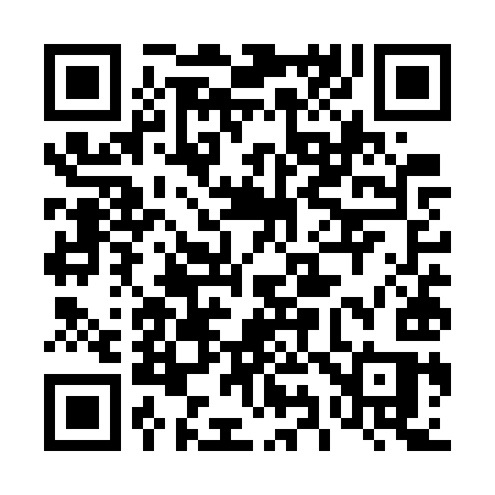 QR code for 495WYS
