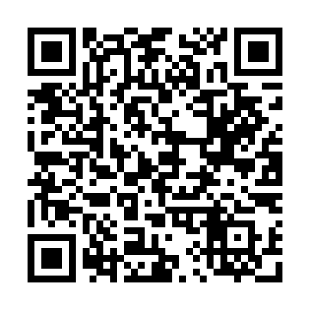 QR code for 496DIS