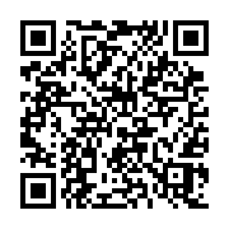 QR code for 496SER