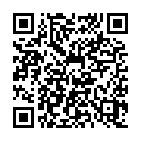 QR code for 496XIX