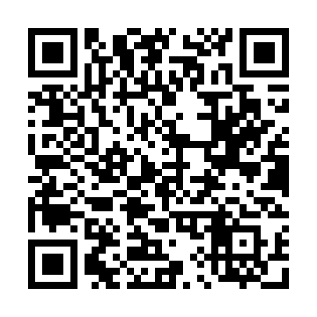 QR code for 498WSS