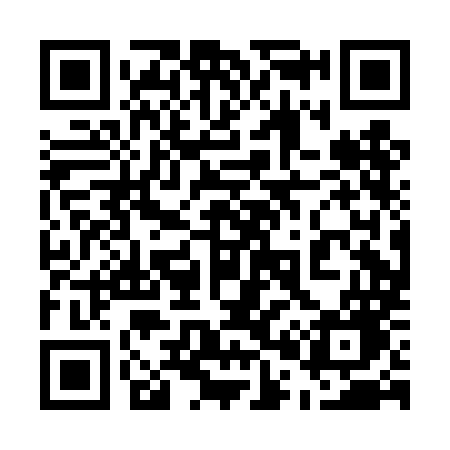 QR code for 500DMG