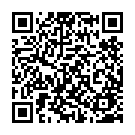 QR code for 500DOG