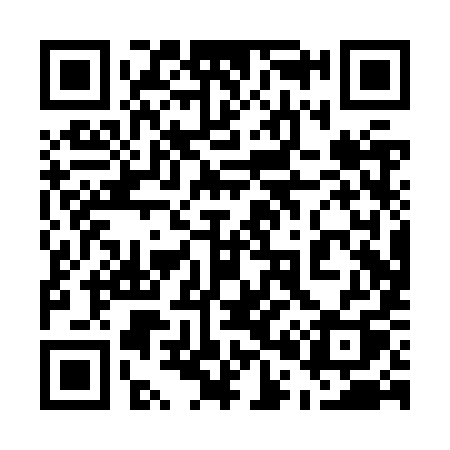 QR code for 500ZYQ