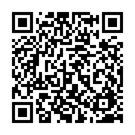 QR code for 501IRG