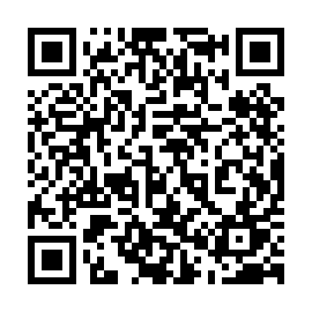 QR code for 501PAT