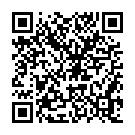 QR code for 501PON