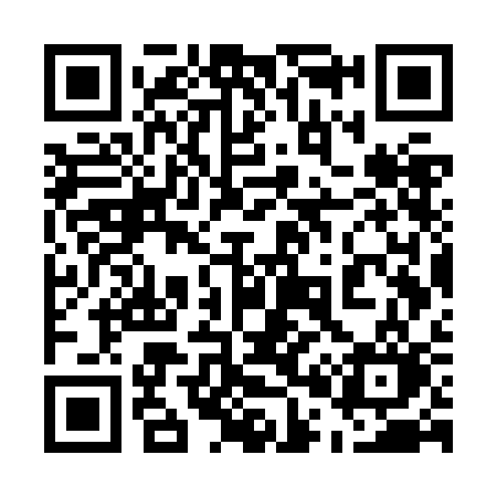 QR code for 507ZCO