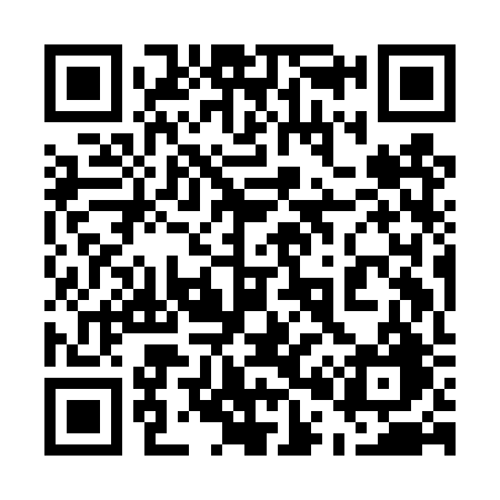 QR code for 509DRG