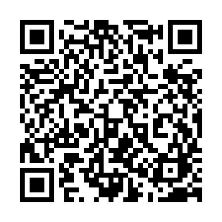 QR code for 509IIC