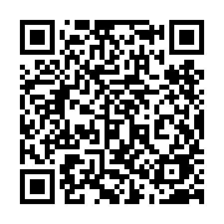 QR code for 509TIE