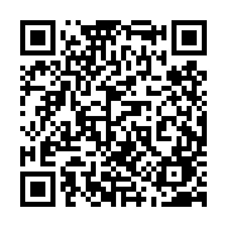 QR code for 510DUD
