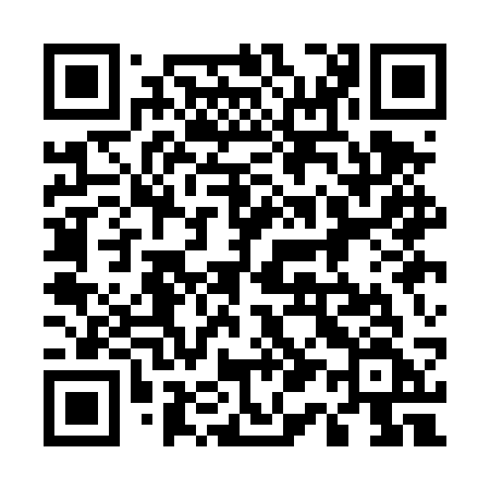 QR code for 511DSF