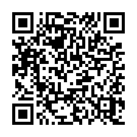 QR code for 511VIX