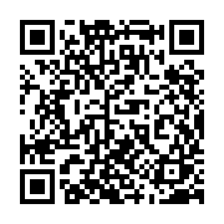 QR code for 519QIS
