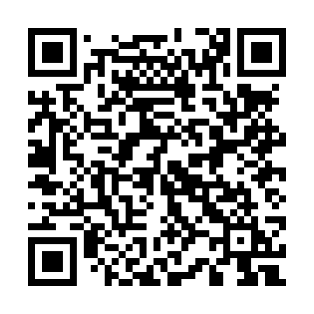 QR code for 520LSI