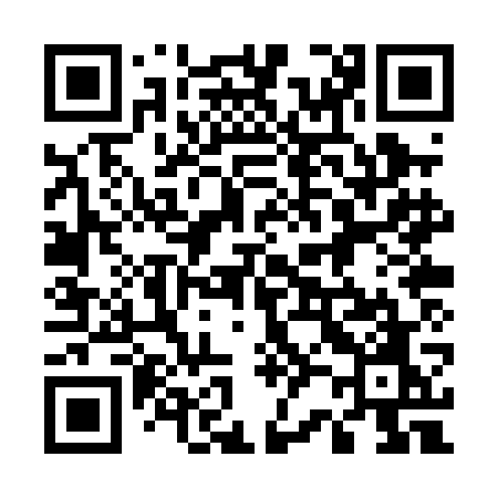 QR code for 520PGO
