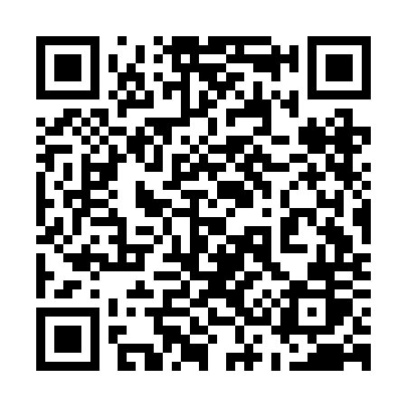 QR code for 533BOR