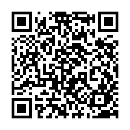 QR code for 533IIN