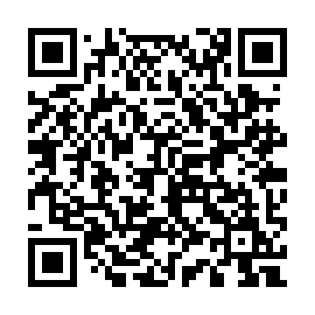 QR code for 533PIM
