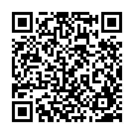 QR code for 533XIF