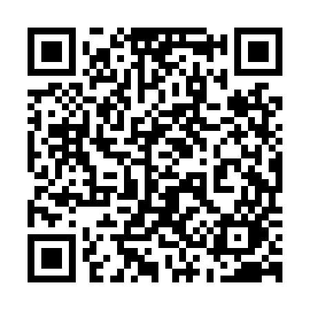 QR code for 538LUO