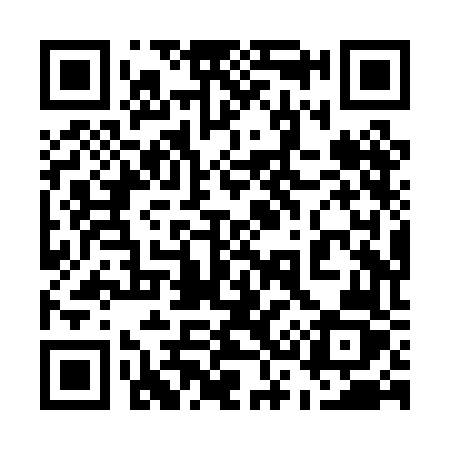 QR code for 538PFZ