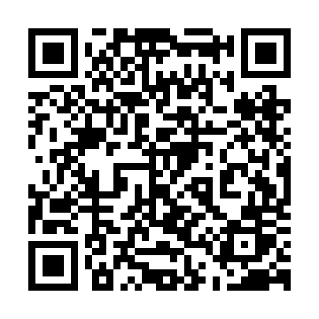 QR code for 541BOR