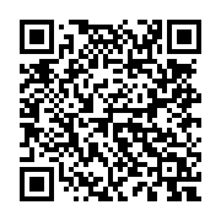 QR code for 541LUT