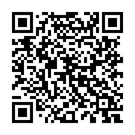 QR code for 541MPT