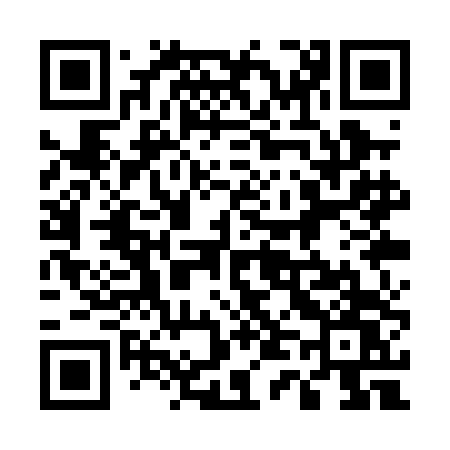 QR code for 541PDW
