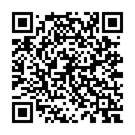 QR code for 541PMH