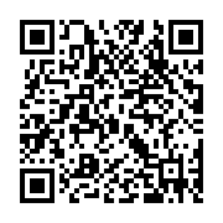 QR code for 541PRN