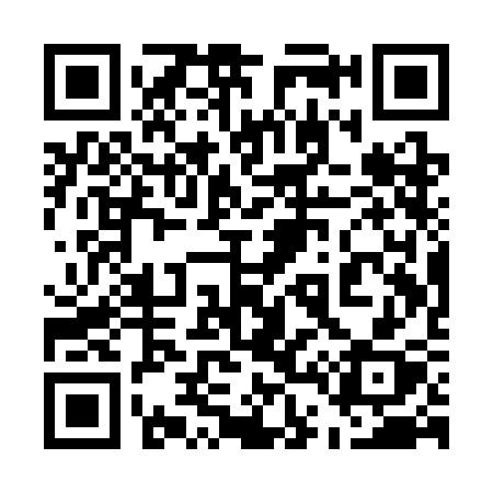 QR code for 541SCX