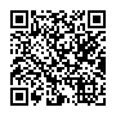 QR code for 541XIN