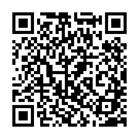 QR code for 543PLI