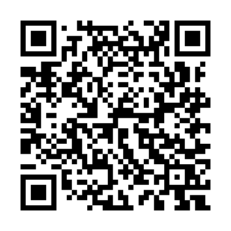 QR code for 545INR