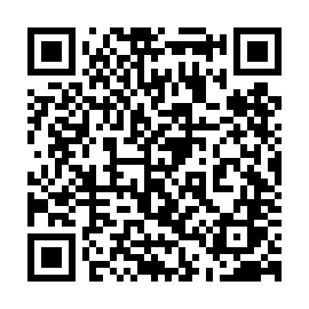QR code for 546DNS