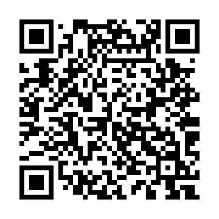 QR code for 546PYN
