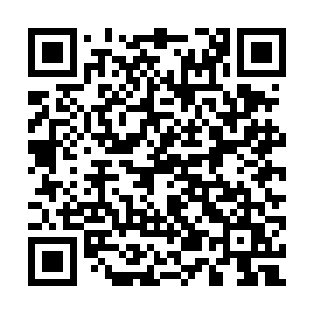 QR code for 555DFU