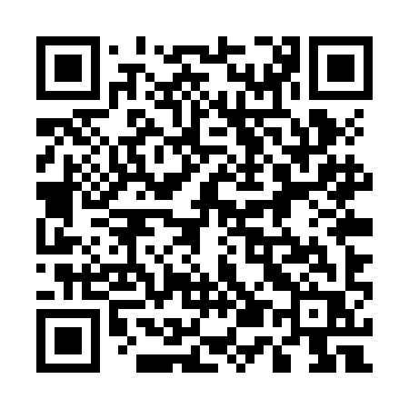 QR code for 555ZIR