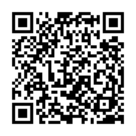 QR code for 581EFI